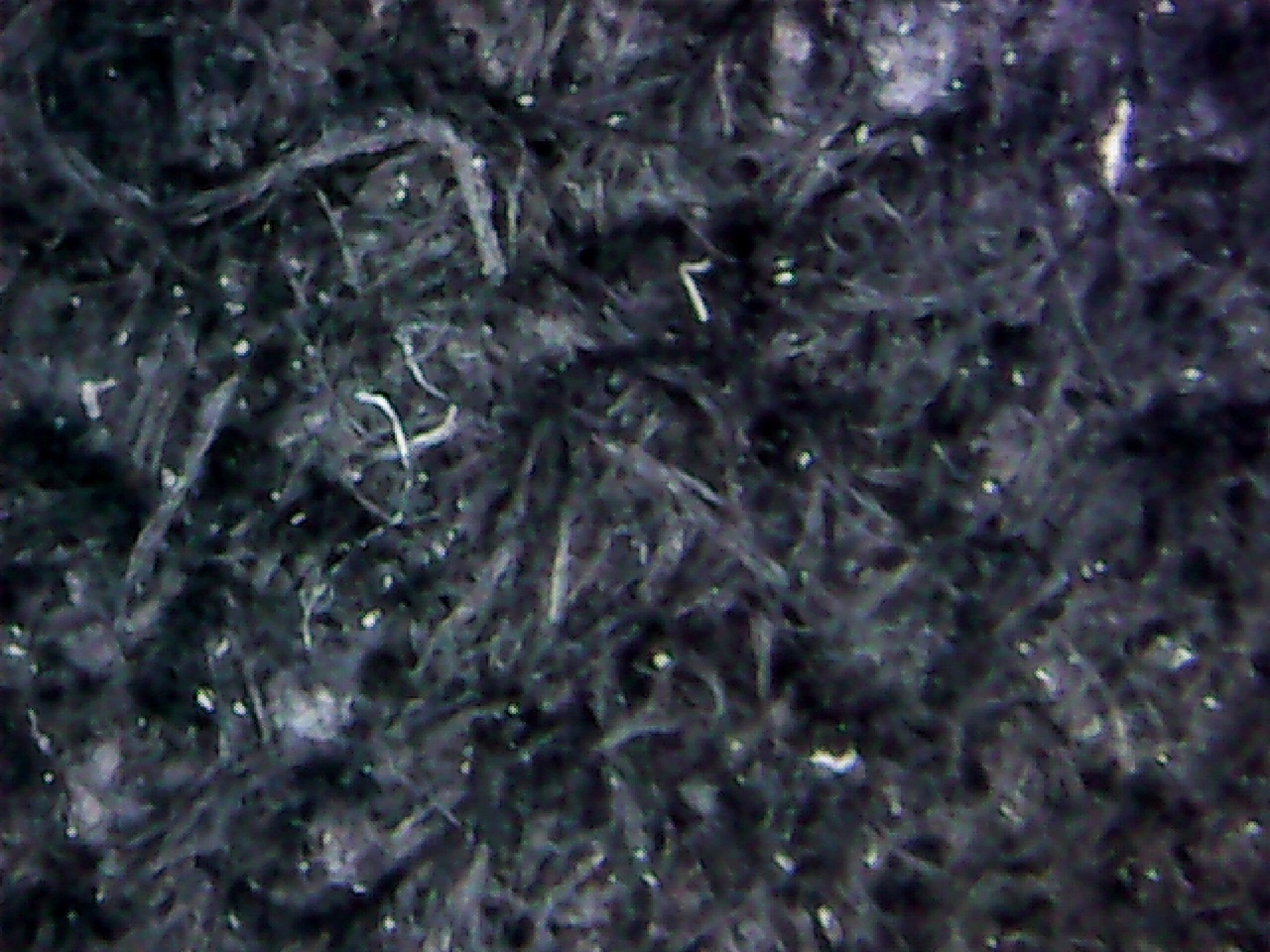 фото9.jpeg фото9.jpeg