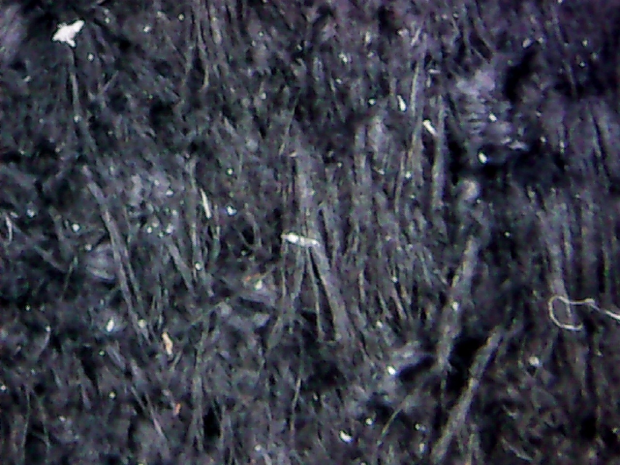 фото10.jpeg фото10.jpeg