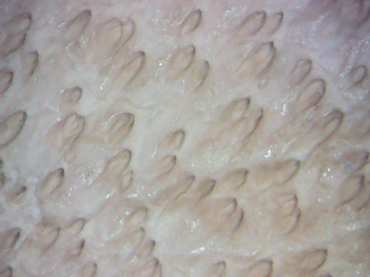 фото4.jpeg фото4.jpeg