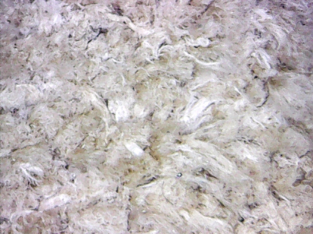 фото8.jpeg фото8.jpeg