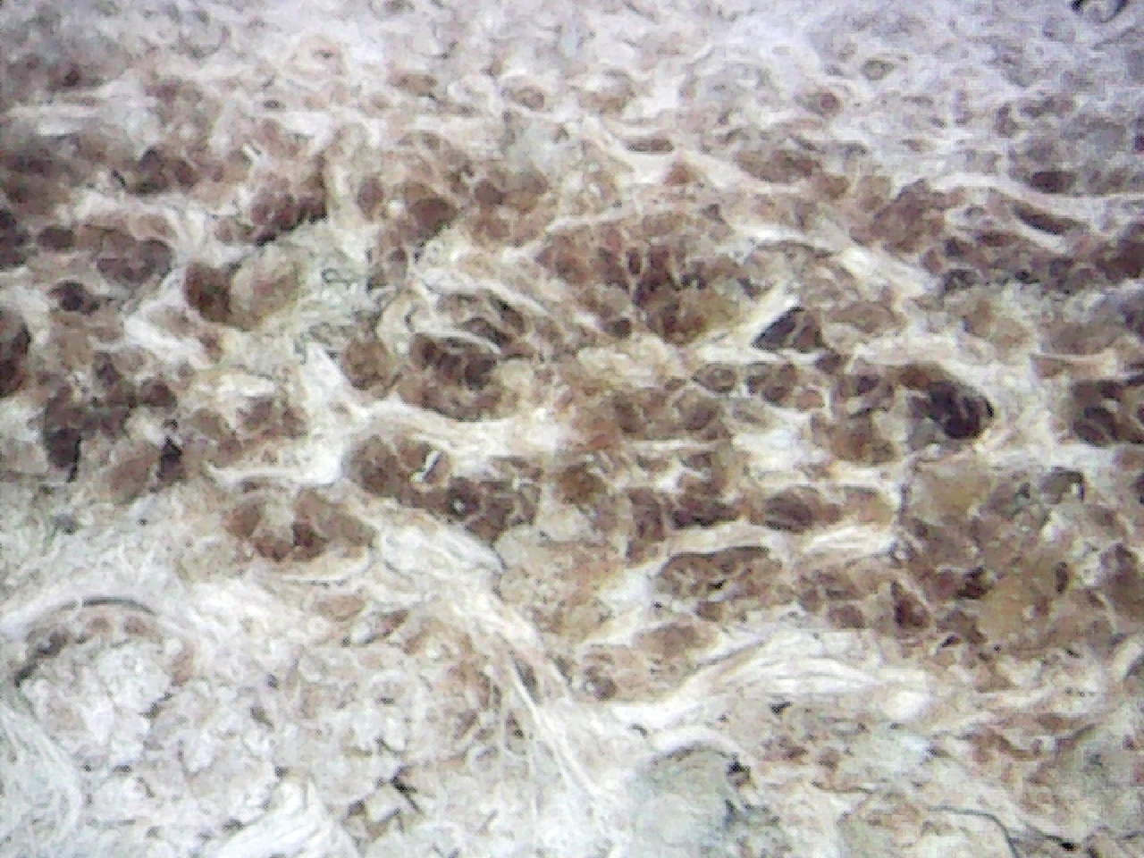 фото5.jpeg фото5.jpeg