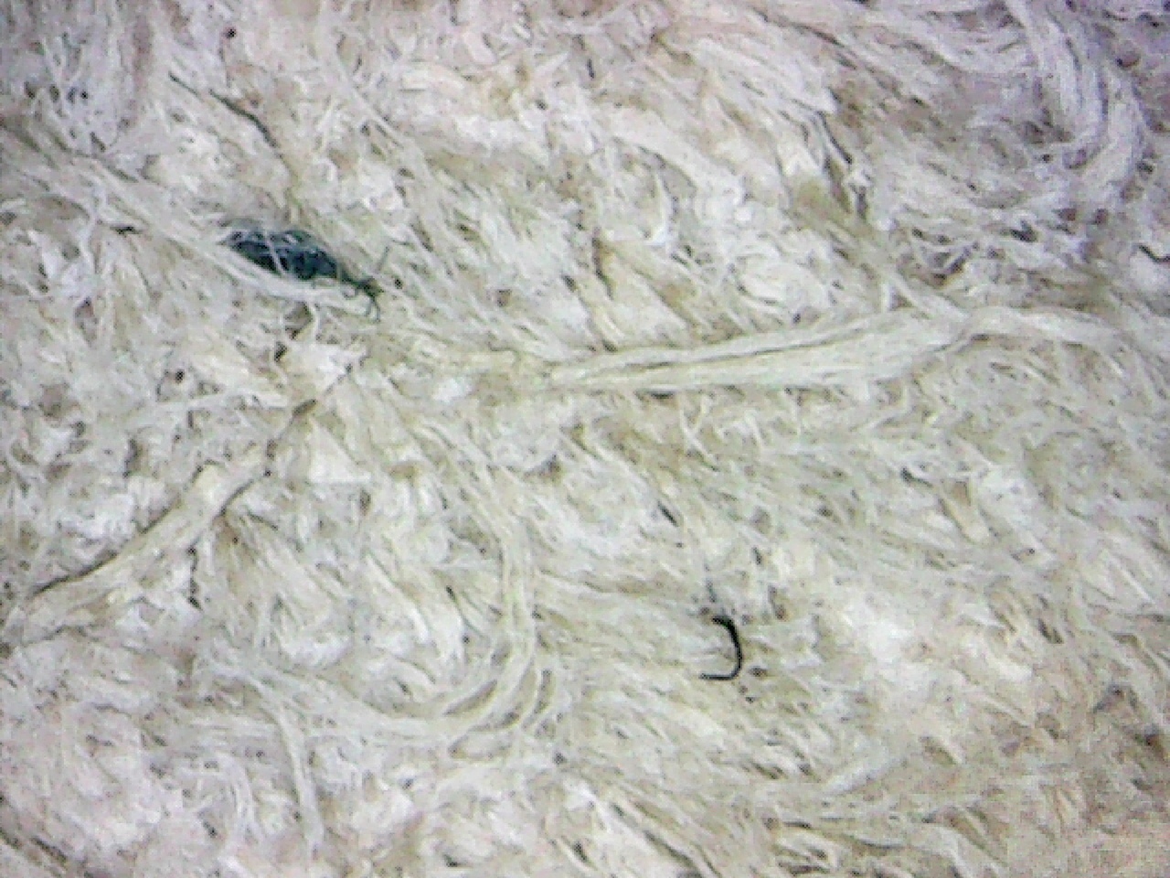 фото7.jpeg фото7.jpeg